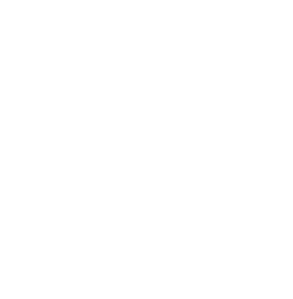 QSS Logo